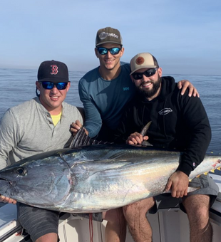 Chatham Bluefin Tuna Quest